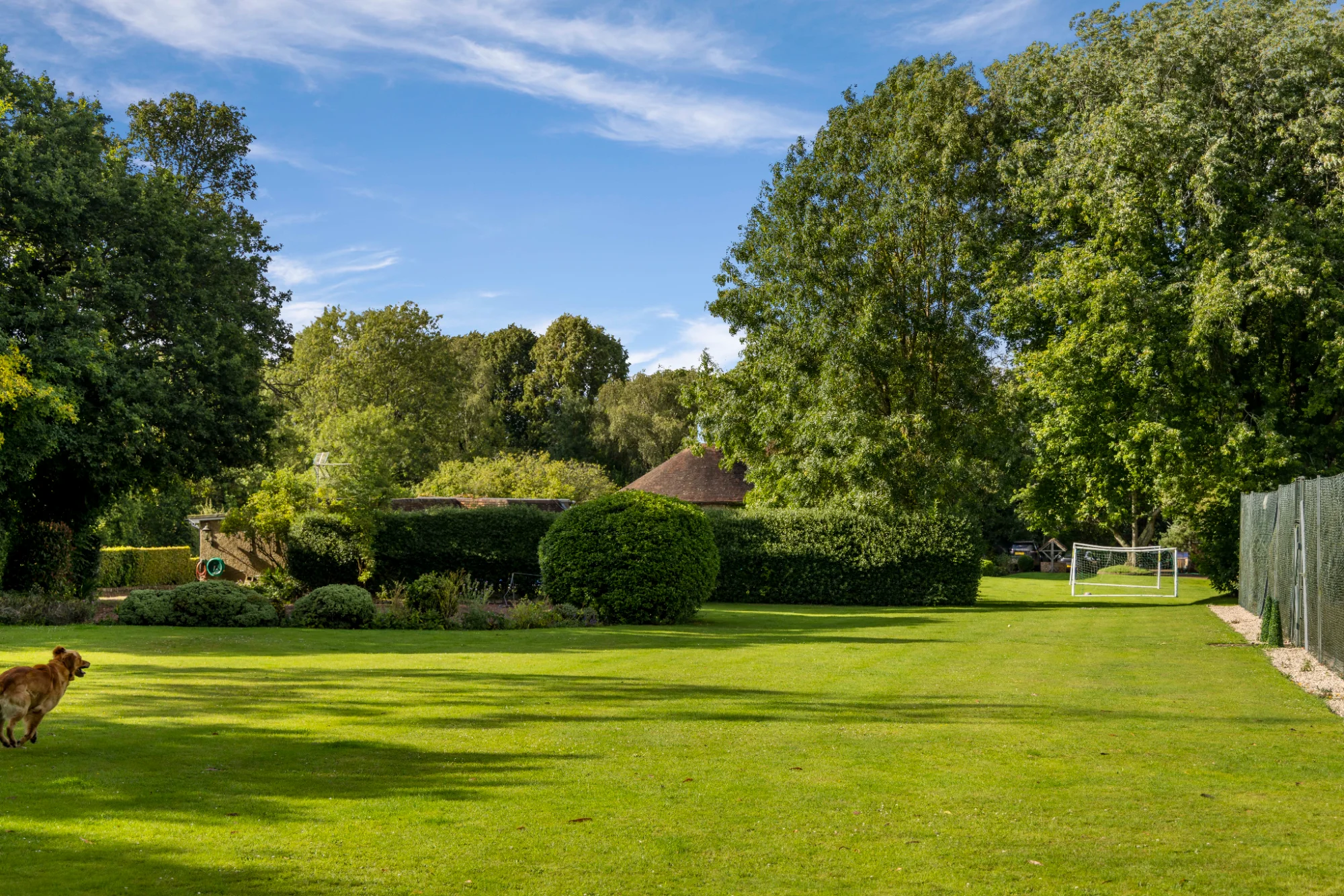 Expansive lawn with goal